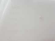 Scheibenwaschbehälter Vorne 5WA955453A Cupra Leon Sportstourer (KLCF) Kombi 2.0 TSI 16V 4Drive (DNFB) 2021 DNFB