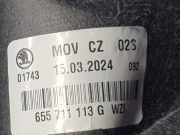 Schalthebelknopf 655711113GWZI Skoda NW ESSENCE