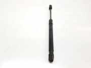 Gasdruckfeder Set Vorne 51237309117 BMW 5 serie (F10) Limousine 530d 24V (N57-D30A) 2012