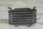 Kraftstoffkühler 13322247411 BMW 5 serie (E39) Limousine 530d 24V (M57-D30(306D1)) 2001