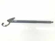 Gasdruckfedern Set Hinten 51247350837 BMW X1 (F48) SUV xDrive 18d 2.0 16V (B47-C20A(Euro 6)) 2017
