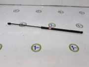 Gasdruckfeder Vorne 3C0923359A Volkswagen Passat (3C2) Limousine 2.0 TDI 16V 140 (BKP) 2005 BKP