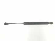 Gasdruckfedern Set Hinten 51247016186 BMW Z4 Roadster (E85) Cabrio 3.0 24V (M54-B30(306S3)) 2003