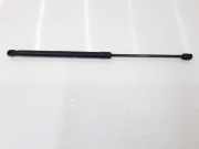 Gasdruckfeder Hinten 8Z0898552 Audi A2 (8Z0) Schrägheck 1.4 16V (AUA) 2000