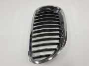 Grill Gitter Rechts 7065702 BMW 5 serie (E60) Limousine 530xd 24V (M57N2-D30(306D3))