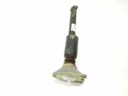 Stoßdämpfer Links Hinten 33526873822 BMW 3 serie Touring (F31) Kombi 318d 2.0 16V (B47-D20A)