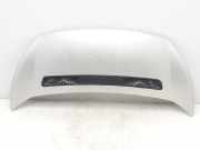 Motorhaube 7901N1 Peugeot Expert (G9) Van 2.0 HDi 120 (DW10UTED4(RHK)) 2006