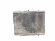 Radiator 133391 Peugeot Premium