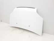 Motorhaube 5149226 Ford 1.8 TDCi (75 CV) 2012