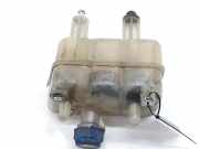 Ausgleichbehälter 1607331480 Citroën CITROEN GROSSRAUMKASTEN 2.2 HDI FAP (131 CV) 2014