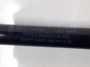 Gasdruckfeder Hinten BM51A406A10AE Ford Focus 3 Schrägheck 1.6 TDCi 115 (T1DA) 2015