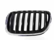 Grill Gitter Links 51137124815 BMW X5 (E53) SUV 3.0d 24V (M57N-D30(306D2)) 2006