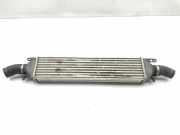 Ladeluftkühler 51783791 Fiat Bravo (198A) Schrägheck 2.0 D 16V Multijet 165 (198.A.5000) 2008