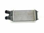 Ladeluftkühler 9803900780 Citroën C3 (SX/SW) Schrägheck 1.5 Blue HDi 100 16V (DV5RD(YHY))