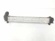 Ladeluftkühler 144963639R Renault Scénic III (JZ) Großraumlimousine 1.5 dCi 110 (K9K-636) 2015