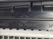 Radiator 214104950R Renault Zoé (AG) Schrägheck 5-drs R135 (5AQ-605)