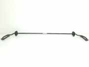 Stabilisatorstange Hinten 33506859894 BMW X1 (F48) SUV xDrive 18d 2.0 16V (B47-C20A) 2017