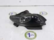 Nebelscheinwerfer Links 4574827 Chrysler 300 M Limousine 2.7 V6 24V (EER) 1998