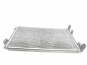 Radiator 1J0121253AD Volkswagen IV BERLINA 1.9 TDI (131 CV) 2003