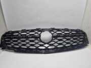 Original Kühlergrill OPEL Insignia B - 39225888 - 551004542