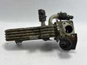 Abgaskühler SEAT Leon (1P) 038131513AD