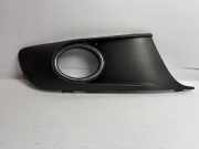 Kühlergrill rechts VW Tiguan II (AD) 1T0853666T