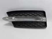 Nebelscheinwerferrahmen MERCEDES-BENZ SLK (R172) A1728851623