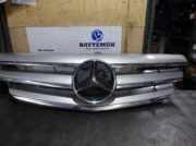 Kühlergrill MERCEDES BENZ B-KLASSE (W245) B 180 CDI A1698800883