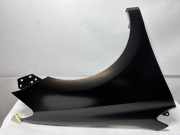 Kotflügel rechts vorne VW Polo V (6R, 6C) !!Zubehör!!