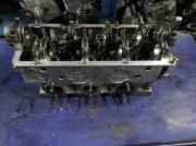 Zylinderkopf AUDI A4 (8E2, B6) 2.5 TDI quattro 059103064J