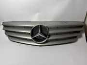 Grill Frontgrill