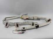 Sicherheitseinheit Dach rechts VW Golf VIII (CD) 5H6880742K