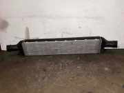 Ladeluftkühler AUDI A6 (4G, C7) 8K0145805R