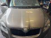 Motorhaube SKODA Roomster (5J)