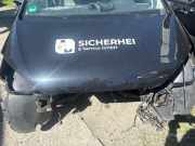 Motorhaube SEAT Mii (AA)