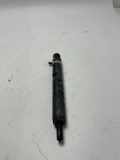 Einspritzdüse RENAULT Modus - Grand Modus (P) 8200815416 H8200421897