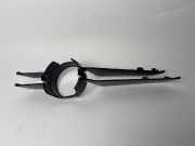 Nebelscheinwerfer Blende Gitter BMW E46 3er vorne 8225592 51118204358