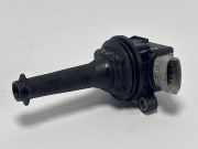 Zündspule FORD S-Max I (WA6) 30713417