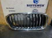Kühlergrill BMW 3er F30 F31 7295436 Rechts