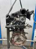 Motor ohne Anbauteile (Benzin) RENAULT Scenic II (JM) K4MC8