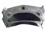 Motorhaube MERCEDES-BENZ R-KLASSE (W251) R 320 CDI 4-matic