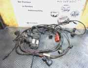 Kabelbaum VW PASSAT CC 2.0 TDI 3C8971104L 3AA962243D 1S0919275 PDC Hinten