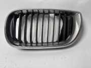 Kühlergrill links BMW 3er (E46) 7030547