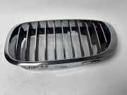 Kühlergrill links BMW 3er Coupe (E46) 1638354