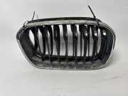 Kühlergrill komplett BMW 1er (F20) 7371748 7371747