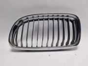 Original Kühlergrill BMW 3 (E90) LCI 320d - 7201969 - Links