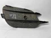 Stoßstangenabdeckung rechts vorne MERCEDES-BENZ E-Klasse Coupe (C238) A213885680