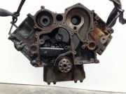 Original Motorblock AUDI A6 (4F) 2.7 TDI - BSG