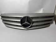 Grill Frontgrill