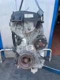 Motor ohne Anbauteile (Benzin) VOLVO C30 (533) 36000067